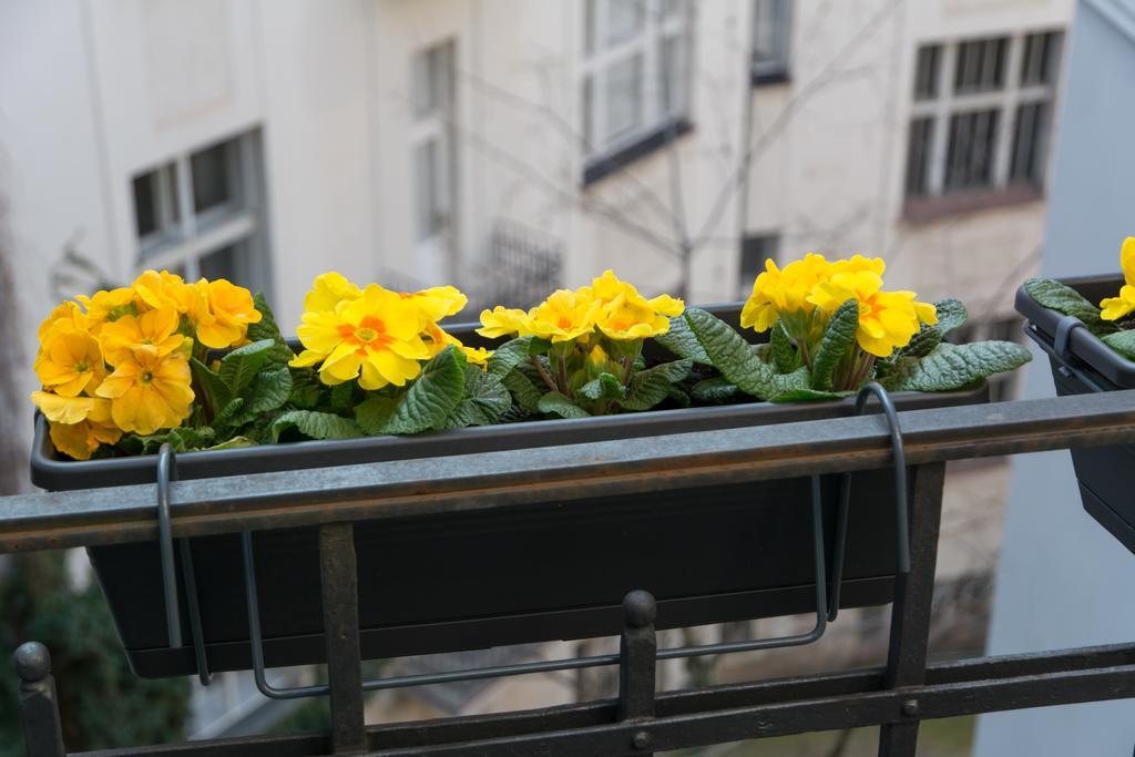 Lägenhet Decadent Art Deco Balcony Apartment In Old Town Prag